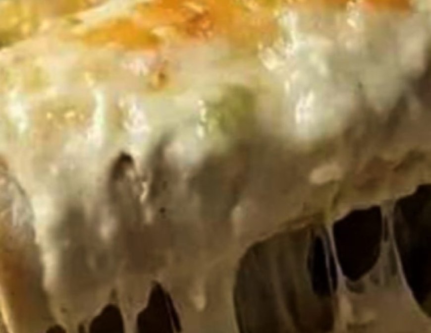 Creamy White Chicken Enchiladas