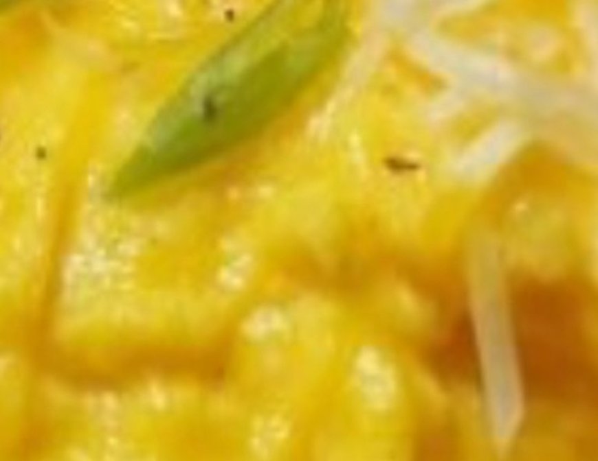 How to Make Perfect Scrambled Eggs Every Time: Soft, Creamy & Delicious!