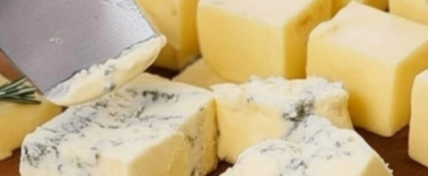 Homemade Cheese Recipe
