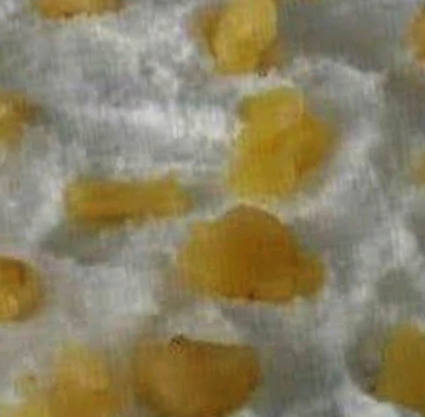 Pineapple cake in a glass dish: the perfect dessert for the whole family