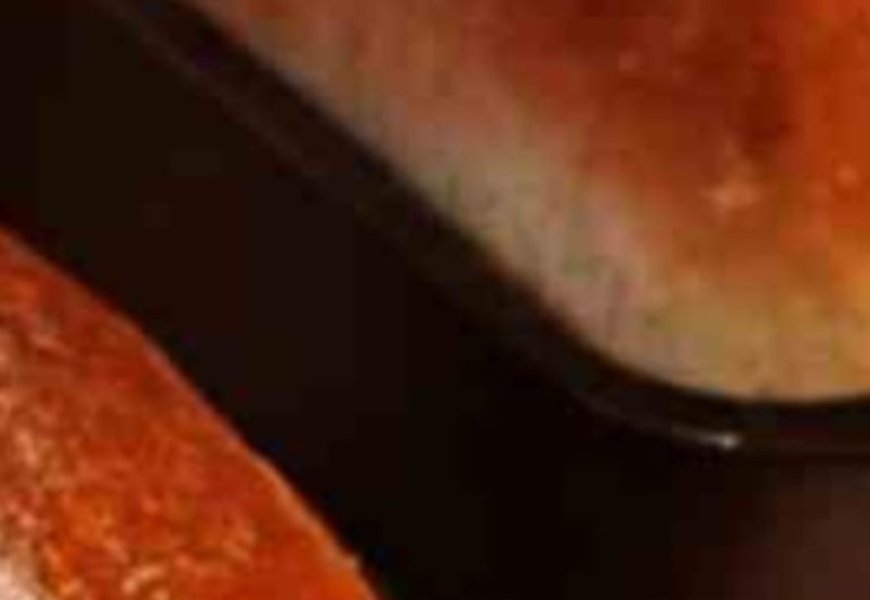 Brilliant No-Knead Bread Recipe