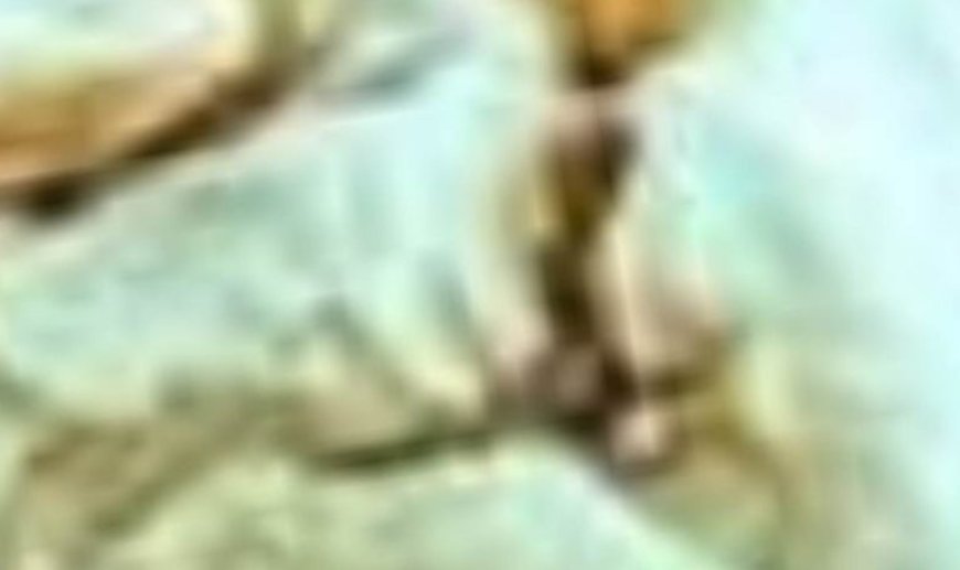 WARNING: Weak Legs Over 55? Strengthen Them With These 7 Foods