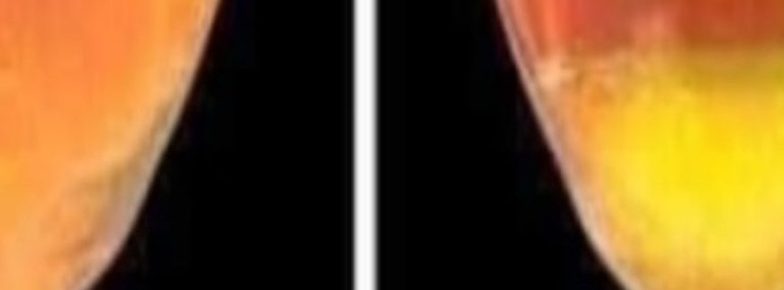 Peeing in the Shower, Doctor Explains Why Women Shouldn’t