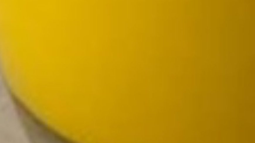 The Power of Turmeric