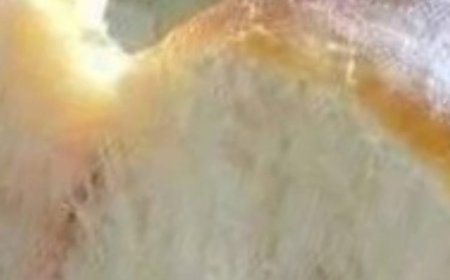 Soft and fluffy bread