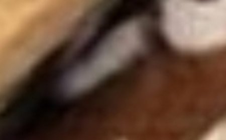 Chocolate and Caramel Cream Layered Dessert