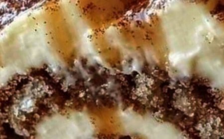 Absolutely Sinful Cinnamon Rolls