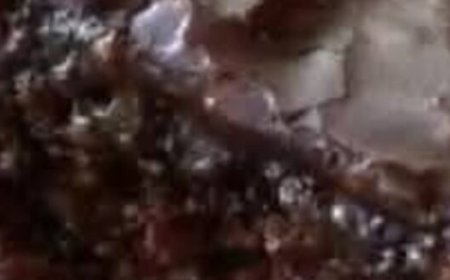 Chocolate Fudge Cake