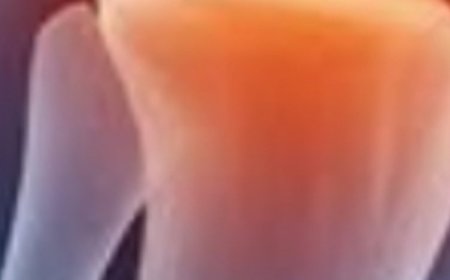 Natural Relief for Joint and Knee Discomfort: The Healing Power of Rosemary, Cloves, and Bay Leaf Tea