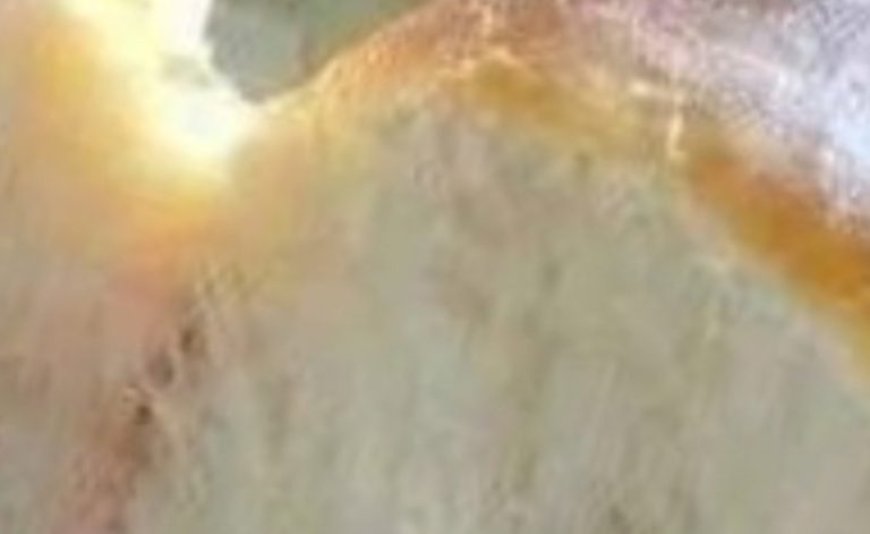 Soft and fluffy bread