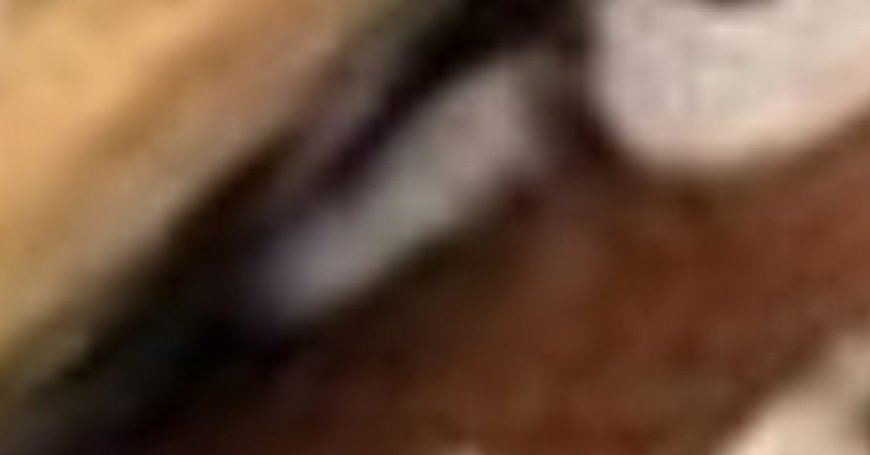 Chocolate and Caramel Cream Layered Dessert