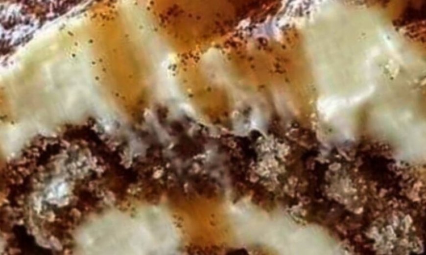 Absolutely Sinful Cinnamon Rolls