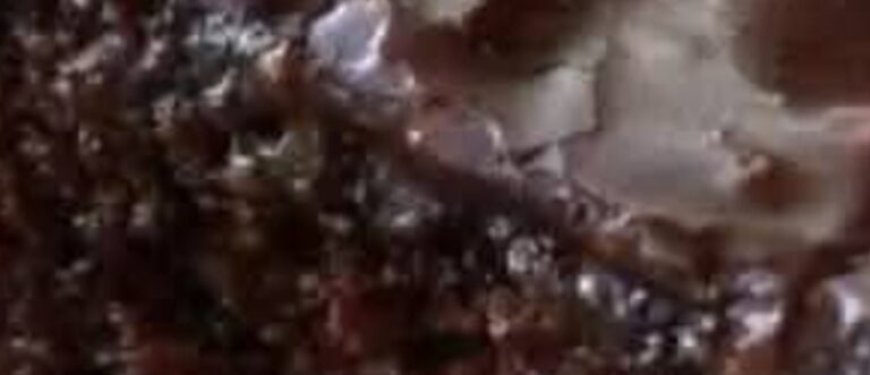 Chocolate Fudge Cake