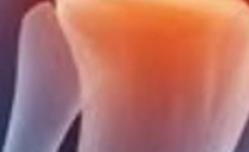 Natural Relief for Joint and Knee Discomfort: The Healing Power of Rosemary, Cloves, and Bay Leaf Tea