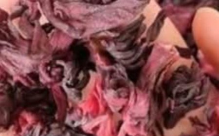 The Miracle Drink That Will Transform Your Health in 2025