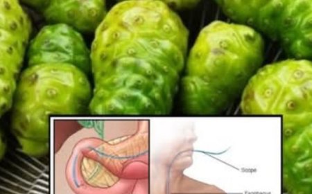 Ancient Wellness Tea: Heal with Ginger, Lemongrass, and Cinnamon