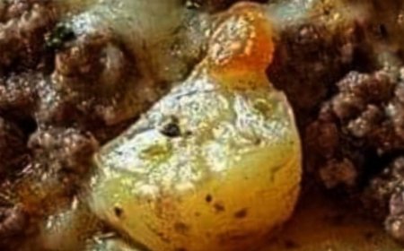 Easy Hamburger Potato Casserole Recipe: Comfort Food at Its Best