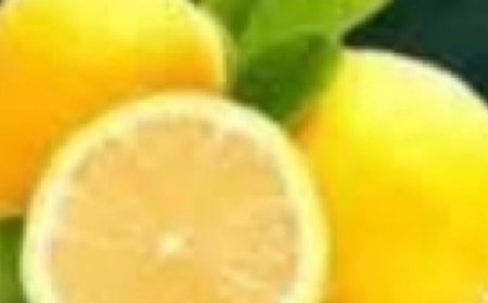 Nighttime Detox Juice