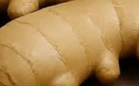 Ginger: A Natural Secret for Youthful Skin