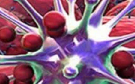 8 Foods That Fight Tumors