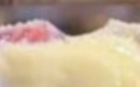 Layered Dessert With Cream, Biscuits And Fruits