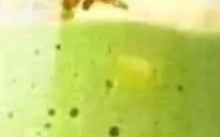 Green Healing Smoothie Recipe: A Nutrient-Packed Wellness Drink