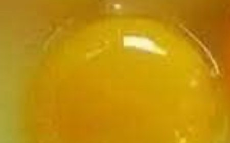 How to Tell If an Egg Came from a Healthy Chicken: 6 Signs of Superior Quality