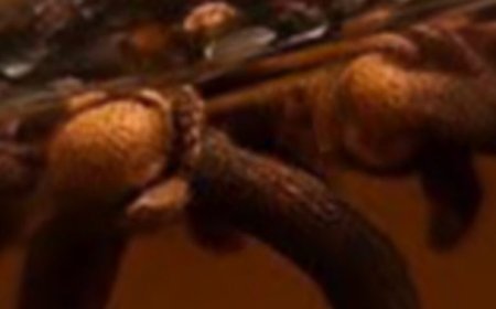 Clove Water: The Hidden Power in Your Kitchen