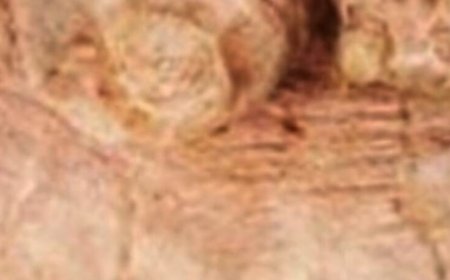 Ginger: A Natural Alternative to Botox for Wrinkle Reduction