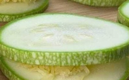 “My husband is from the South and had mentioned these a few times already”