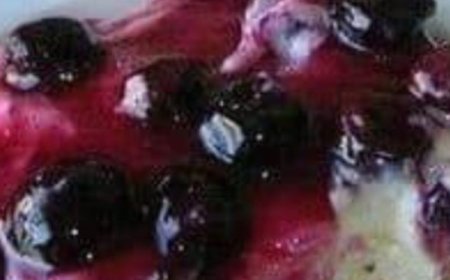 Fresh Blueberry Cheesecake Recipe Recap