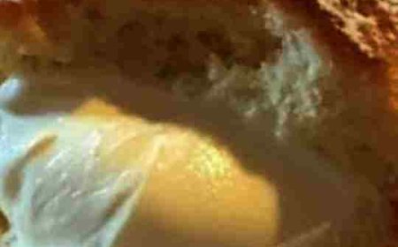 MOM’S FAMOUS CREAM PUFFS