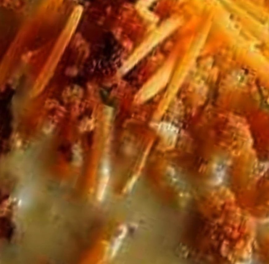 Crunchy Ritz Cracker Chicken with Cheddar Cream Sauce