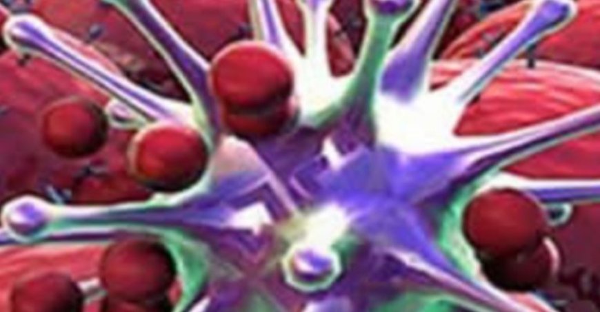 8 Foods That Fight Tumors