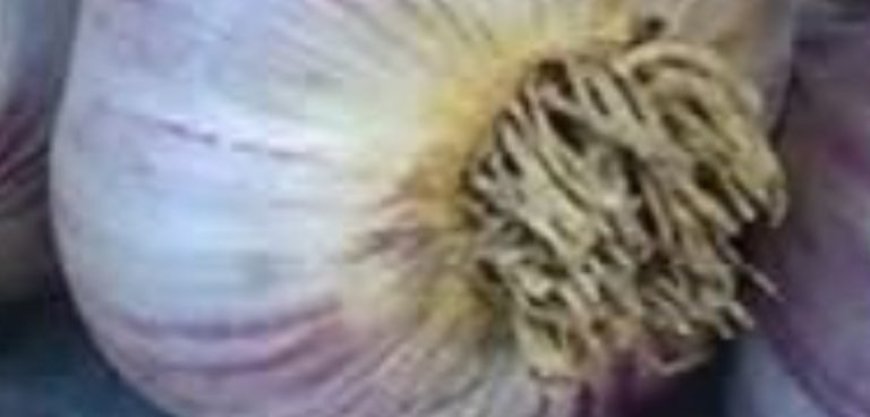 Eat Garlic Before Bed and Be Amazed at What Happens! (Almost Nobody Knows)