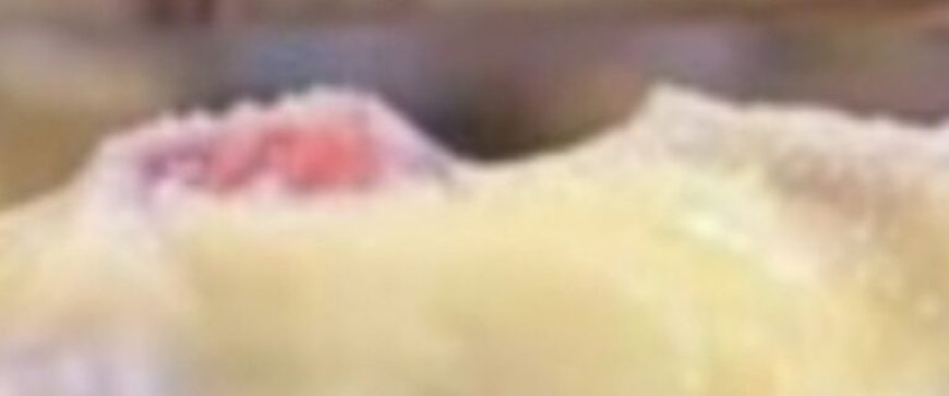 Layered Dessert With Cream, Biscuits And Fruits