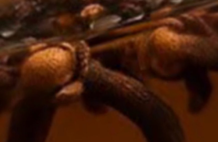 Clove Water: The Hidden Power in Your Kitchen