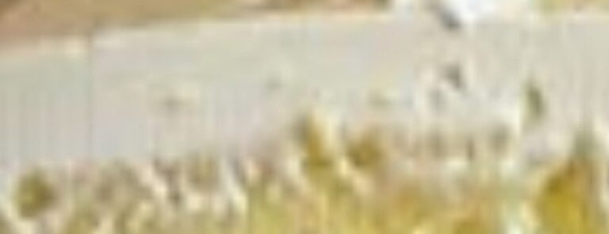 Italian Lemon Cream Cake