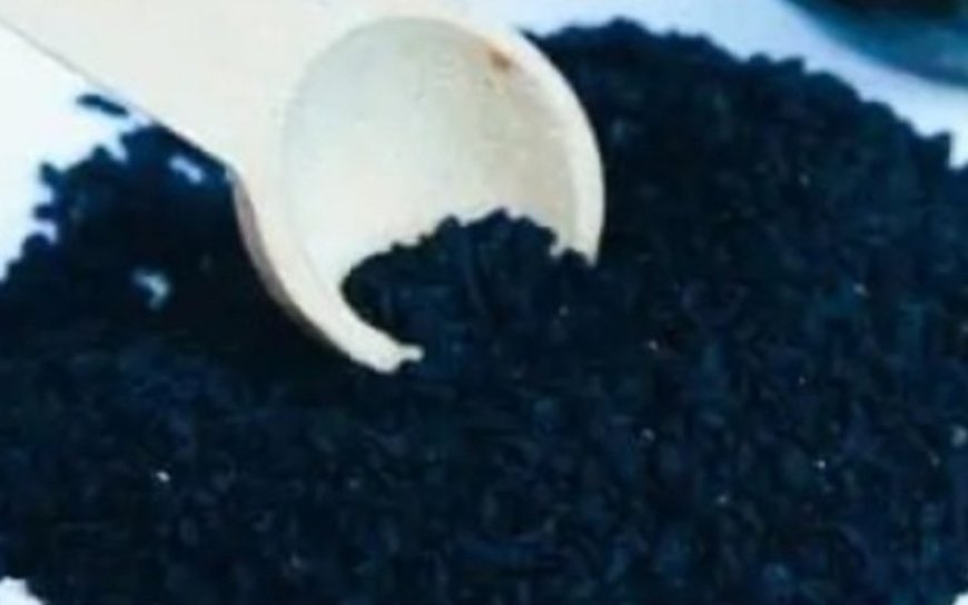 Plant in the Bible Said to Heal All Ailments