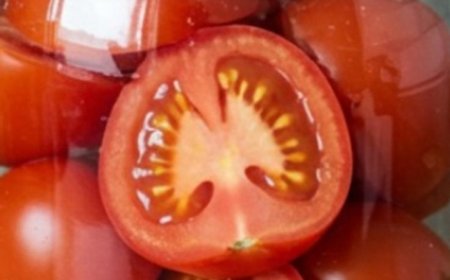 Fresh tomatoes for 2 years, without vinegar: the infallible method of making them last so long
