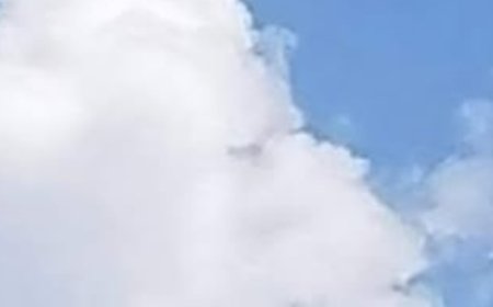 What Do You See: A Fish or a Plane?