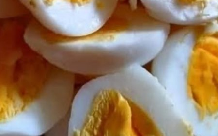 Doctors Reveal the Shocking Truth About Eggs — And It’s Not What You Think