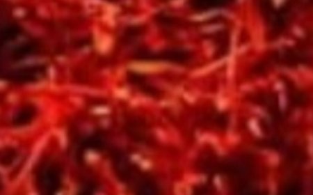 8 Powerful Herbs That Prevent and Kill Cancer (Backed by Science)