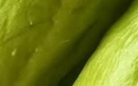 Benefits and Uses of Chayote Juice: A Refreshing Boost for Your Health