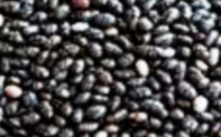 Shocking but Research-Proven Chia Seed Side Effects on Your Health