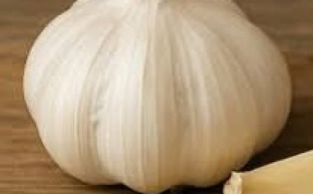 Why You Should Sleep With Garlic Under Your Pillow