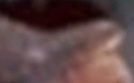 Ginger Clove Honey Surprising Health Benefits of This Natural