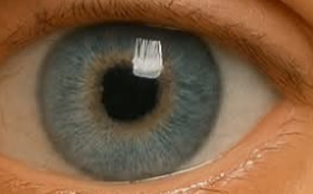 Unlock the Secret to Crystal-Clear Vision: 5 Leaves That Supercharge Your Eye Health