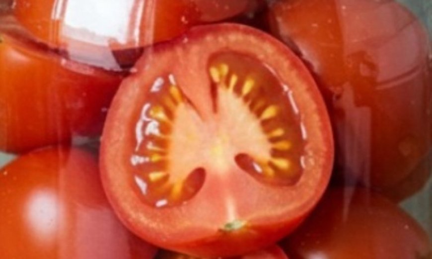 Fresh tomatoes for 2 years, without vinegar: the infallible method of making them last so long