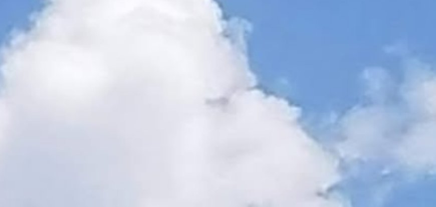 What Do You See: A Fish or a Plane?